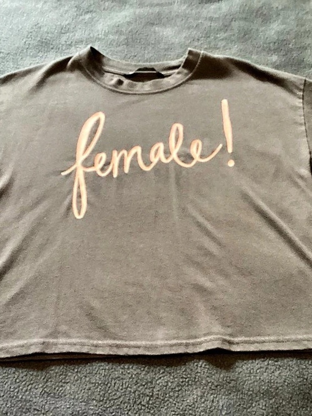 Abercrombie & Fitch Female Graphic Tee gray XS SKU 36